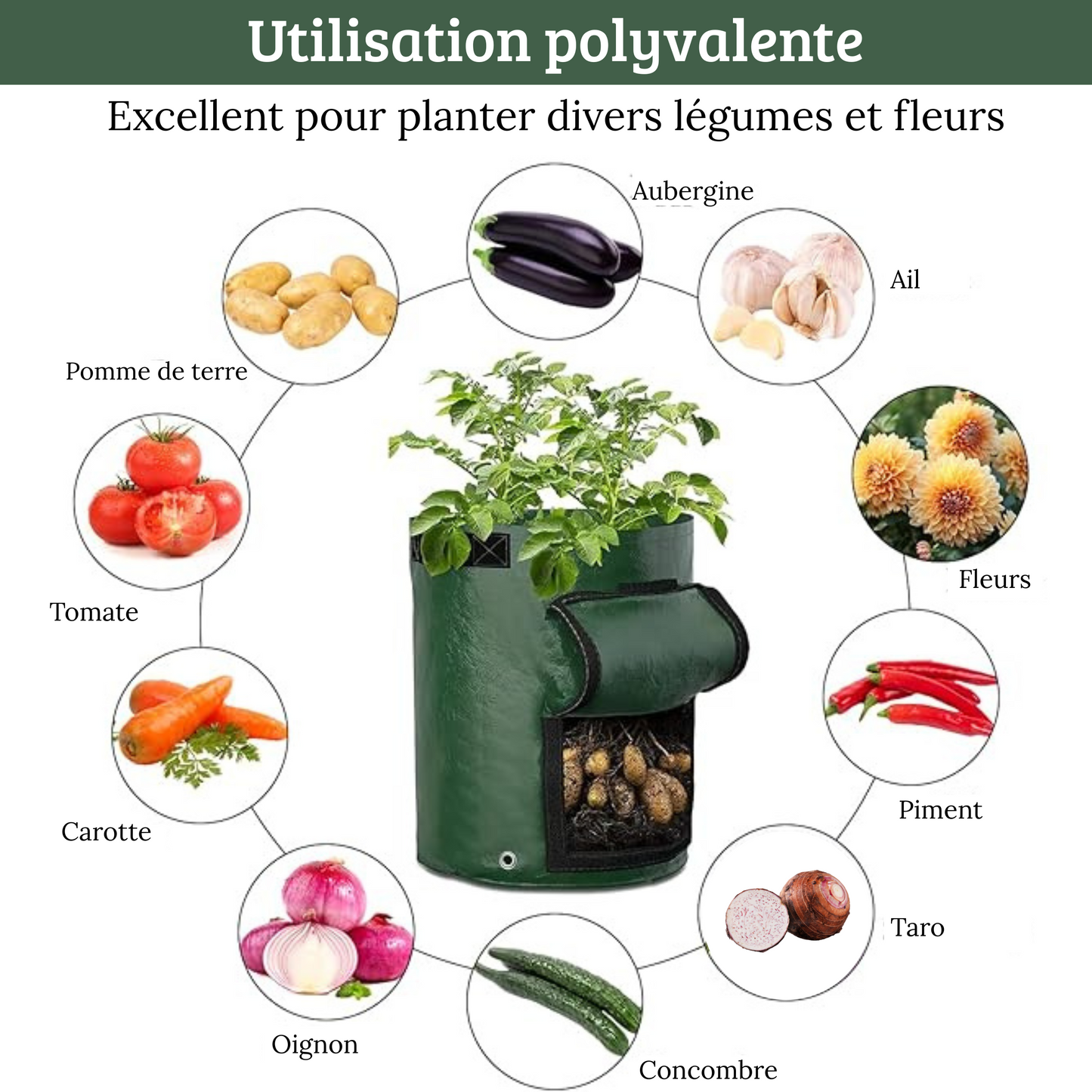 Sac de Culture Légumes 35x50 cm – Tissu Respirant avec Fenêtre et Poignées pour Pommes de Terre, Carottes, Jardin