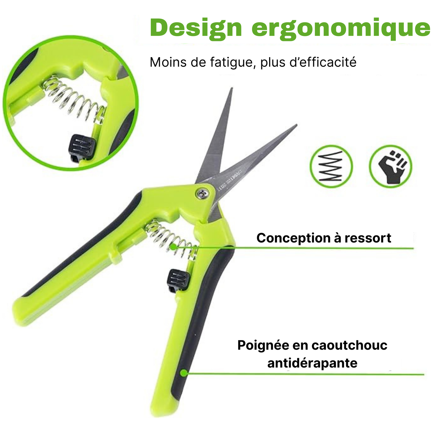 Ciseaux de jardinage ergonomiques – lame en acier inoxydable pour branches, fleurs, roses, fruits, plantes, bonsaïs – faciles à utiliser