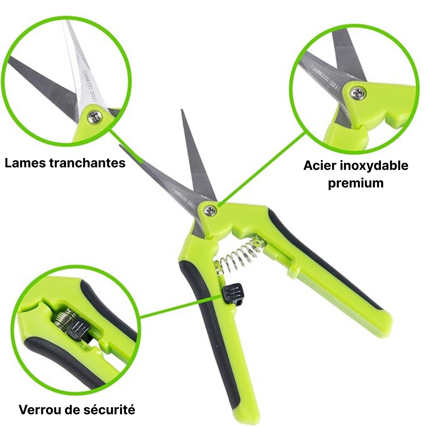 Ciseaux de jardinage ergonomiques – lame en acier inoxydable pour branches, fleurs, roses, fruits, plantes, bonsaïs – faciles à utiliser