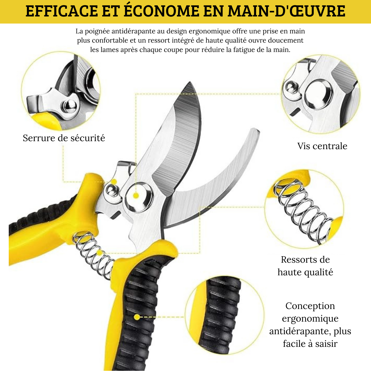 Cisaille de Jardinage sécateur – Outil de Taille Précise pour Plantes, Fleurs et Arbustes