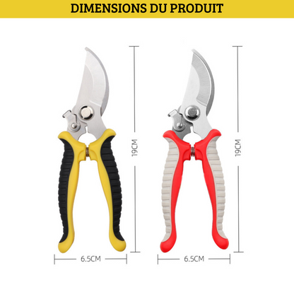 Cisaille de Jardinage sécateur – Outil de Taille Précise pour Plantes, Fleurs et Arbustes