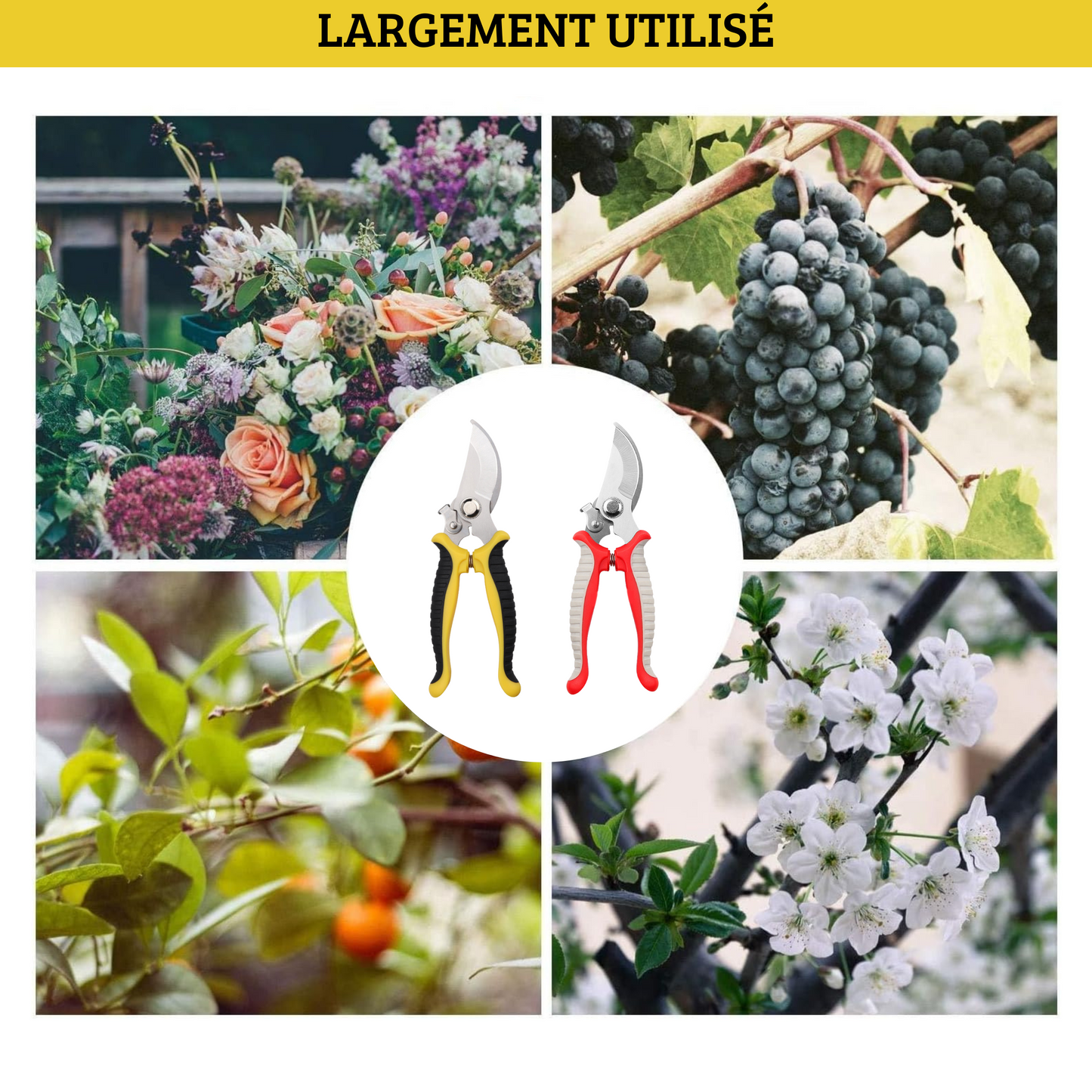 Cisaille de Jardinage sécateur – Outil de Taille Précise pour Plantes, Fleurs et Arbustes