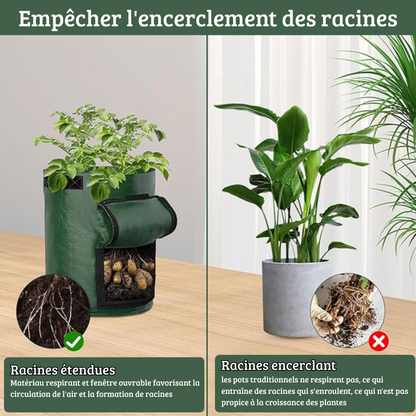 Sac de Culture Légumes 35x50 cm – Tissu Respirant avec Fenêtre et Poignées pour Pommes de Terre, Carottes, Jardin